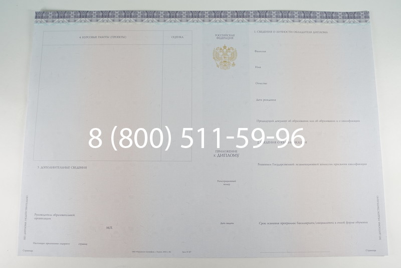 Диплом бакалавра (Киржач) 2014-2024 года в Копейске