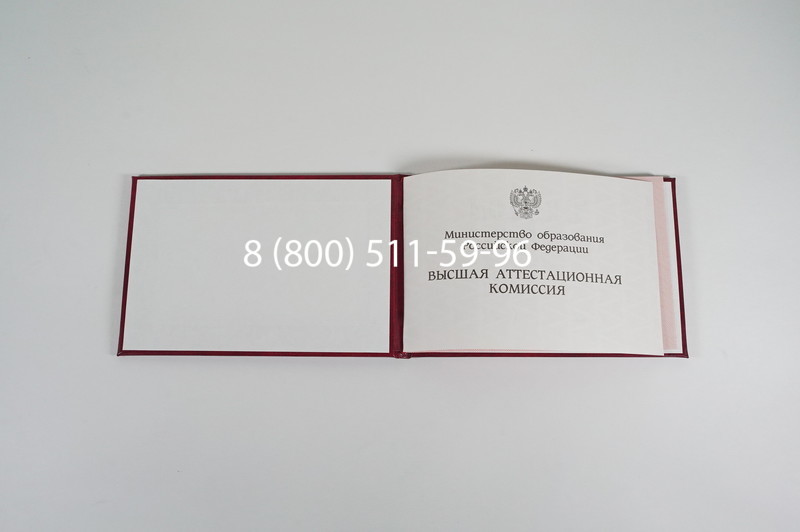 Диплом доктора наук 1995-2006 года в Копейске