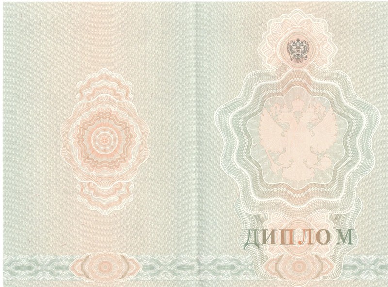 Купить Диплом о начальном образовании 2007-2009 годов в Копейске Купить Диплом о начальном образовании 2007-2009 годов в Копейске