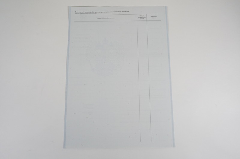 Диплом о начальном образовании 2007-2009 годов в Копейске Диплом о начальном образовании 2007-2009 годов в Копейске