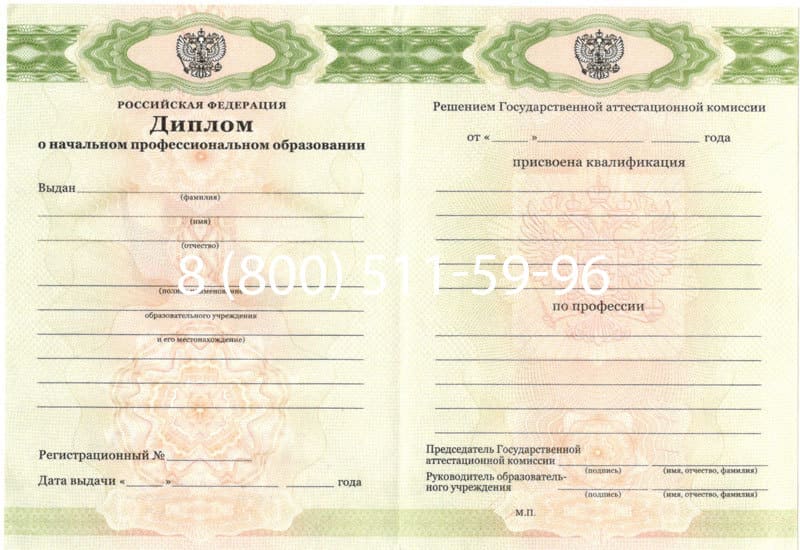 Купить Диплом о начальном образовании  2010-2024 годов в Копейске