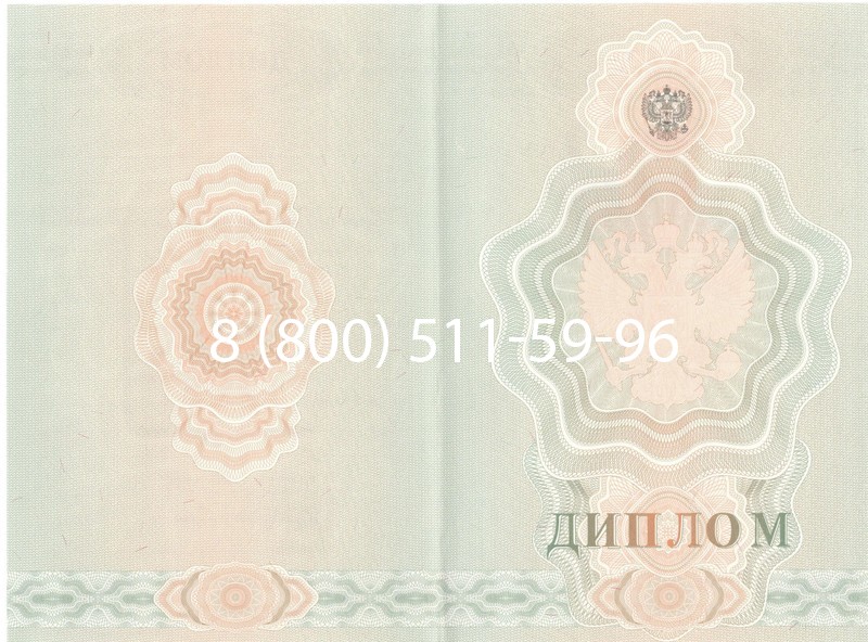 Купить Диплом училища 2007-2009 годов в Копейске Купить Диплом училища 2007-2009 годов в Копейске